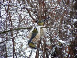 fot. Zbigniew Szkołut