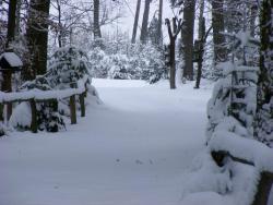 fot. Zbigniew Szkołut