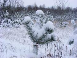 fot. Zbigniew Szkołut