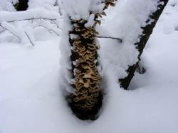 fot. Zbigniew Szkołut