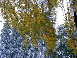 fot. Zbigniew Szkołut