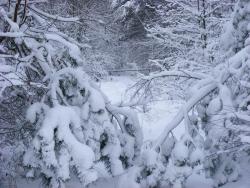 fot. Zbigniew Szkołut