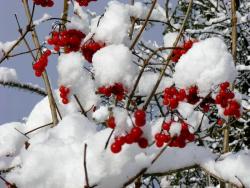 fot. Zbigniew Szkołut