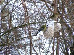 fot. Zbigniew Szkołut