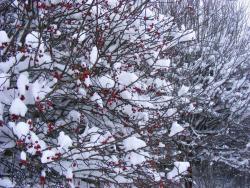 fot. Zbigniew Szkołut