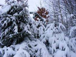 fot. Zbigniew Szkołut