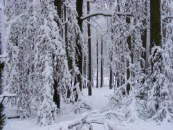 fot.Zbigniew Szkołut