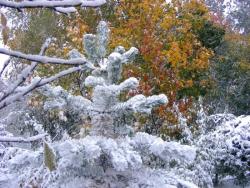 fot. Zbigniew Szkołut